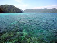 The Surin Islands have reefs that  are ideal for snorkelling